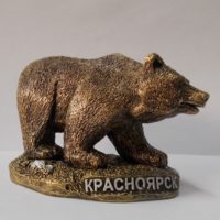 medved-buryj-krasnoyarsk