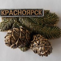 magnit-krasnoyarsk-kedrovaya-vetka